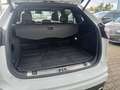 Ford Edge ST-Line 4x4 Weiß - thumbnail 11