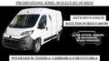 Opel Movano 35 2.2 BlueHDi 140 L2H2 FURGONE CARGO PRONTA CONSE Bianco - thumbnail 1