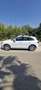 Audi Q5 2.0TDI quattro Ambition Plus S-Tronic 177 Weiß - thumbnail 5