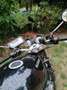 Suzuki Bandit 600 Bandit Gsf 600 Nero - thumbnail 4