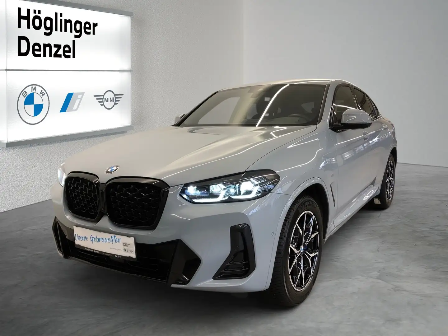 BMW X4 X4 xDrive 30d Grau - 1