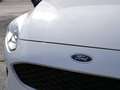 Ford Fiesta 1.5 TDCi 85ch Connect Business 3p Weiß - thumbnail 12