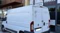 Fiat Ducato Fg. 33 2.3Mjt Medio Techo Alto Blanco - thumbnail 7