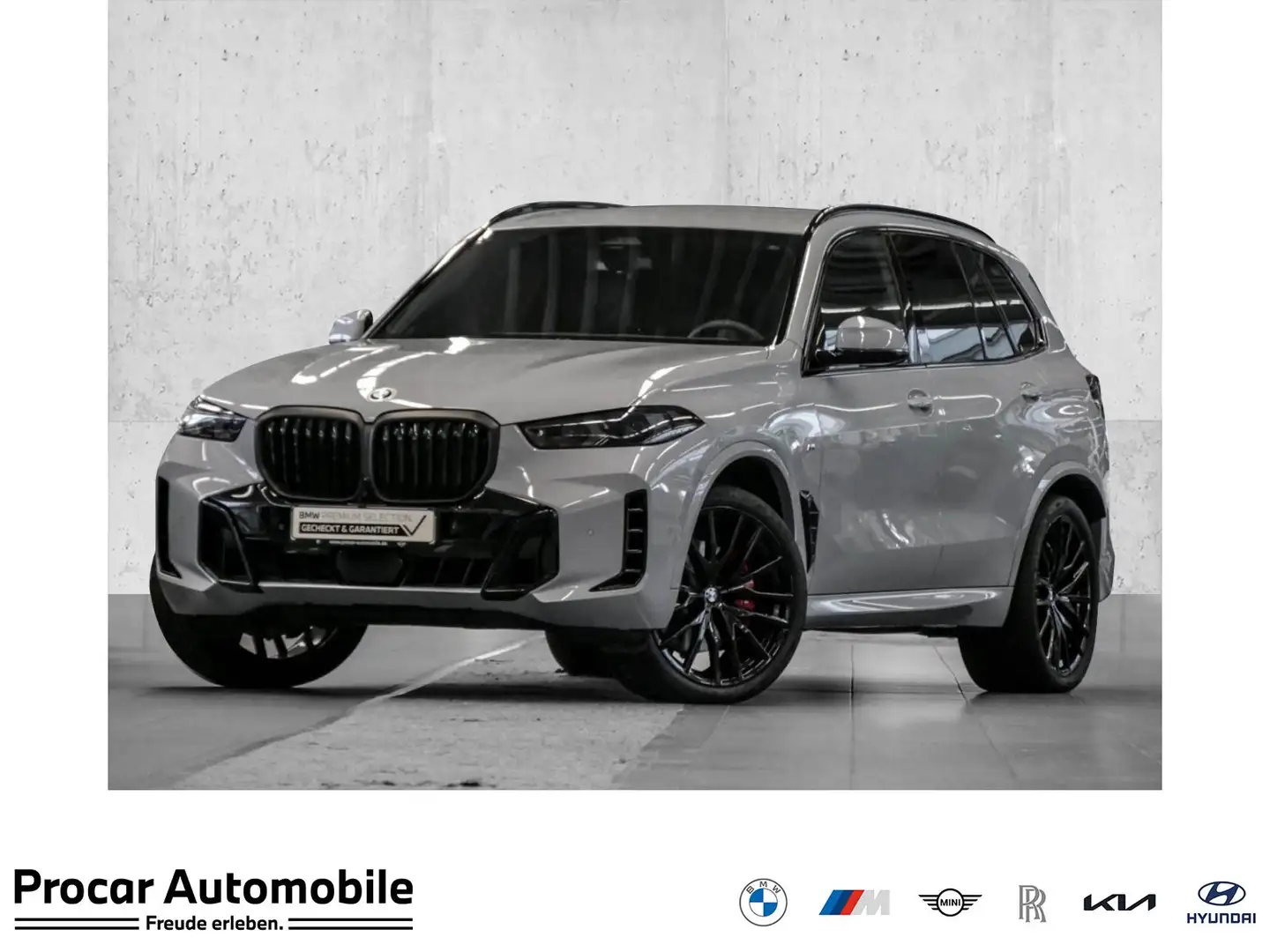BMW X5 xDrive30d M Sport RFK NAVI LED DAB Grigio - 1