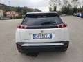 Peugeot 2008 2ª serie BlueHDi 130 S&S EAT8 GT Pack Bianco - thumbnail 5
