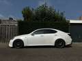 Lexus IS 250 250 F-Sport Parelmoer Wit Facelift 2010 Weiß - thumbnail 5