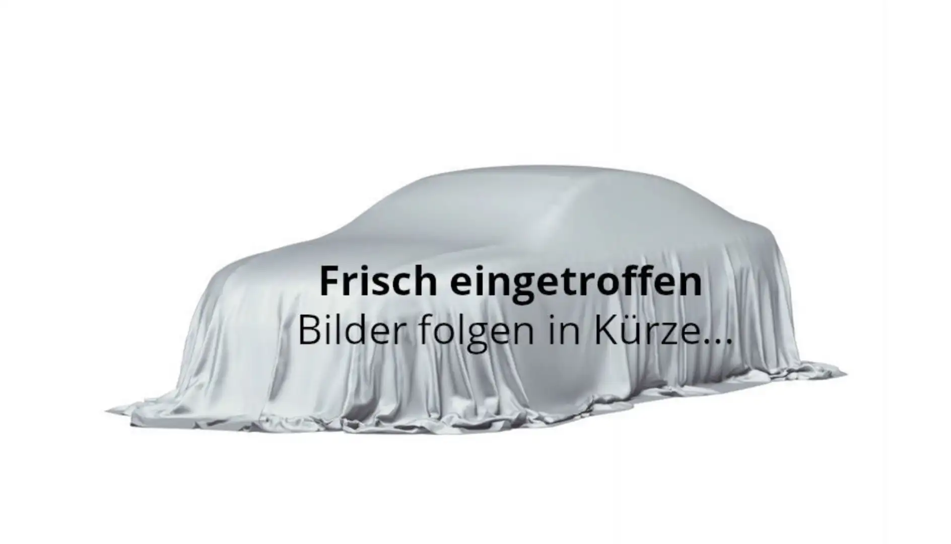 BMW X2 sDrive 18 d Advantage LED NAVI KAMERA Negro - 1