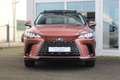 Lexus RX 450h 450h+ Plug-in Hybrid President Line I Pano I Mark - thumbnail 3