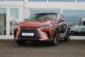 Lexus RX 450h 450h+ Plug-in Hybrid President Line I Pano I Mark - thumbnail 1
