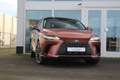 Lexus RX 450h 450h+ Plug-in Hybrid President Line I Pano I Mark - thumbnail 5