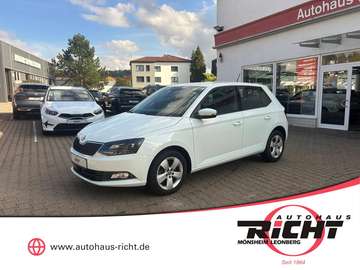 1.2 TSI Style SHZ PDC DAB Tempomat