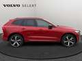 Volvo XC60 T8 Ultimate Dark / Hybride Rouge - thumbnail 7