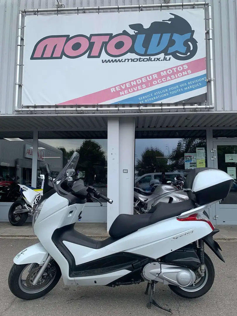 Honda FES 125 Weiß - 1