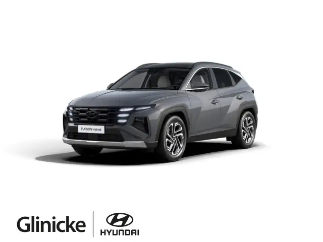 Hyundai TUCSON TUCSON Hybrid Prime*AssistenzP*PanoDach
