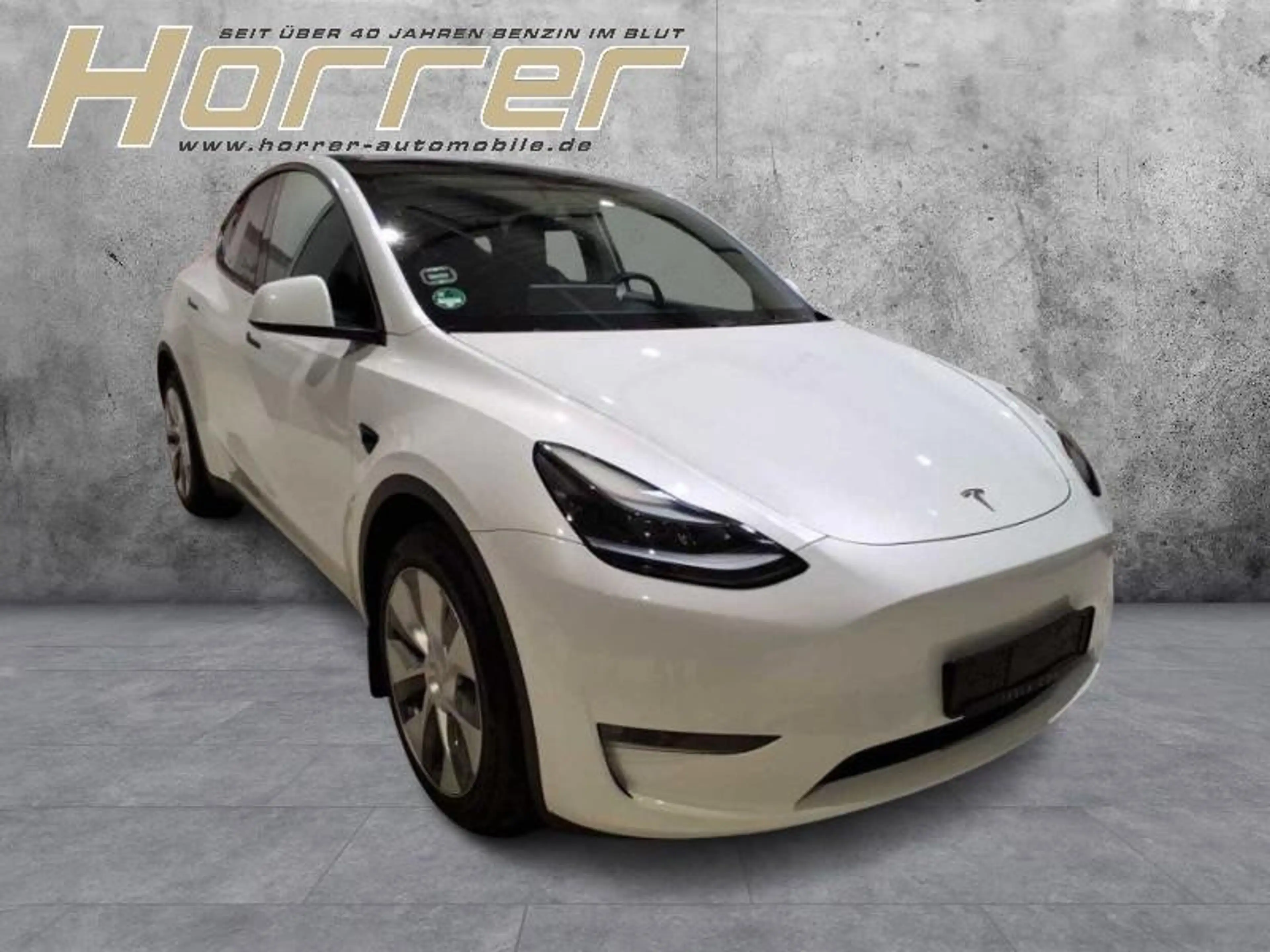 Tesla Model Y Long Range Dual AWD A.Pilot