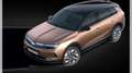 Opel Grandland Electric GS h **Elektrohammer** Gold - thumbnail 2