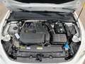 SEAT Leon ST 1,5 TSI ACT FR | AHK/RFK Weiß - thumbnail 34