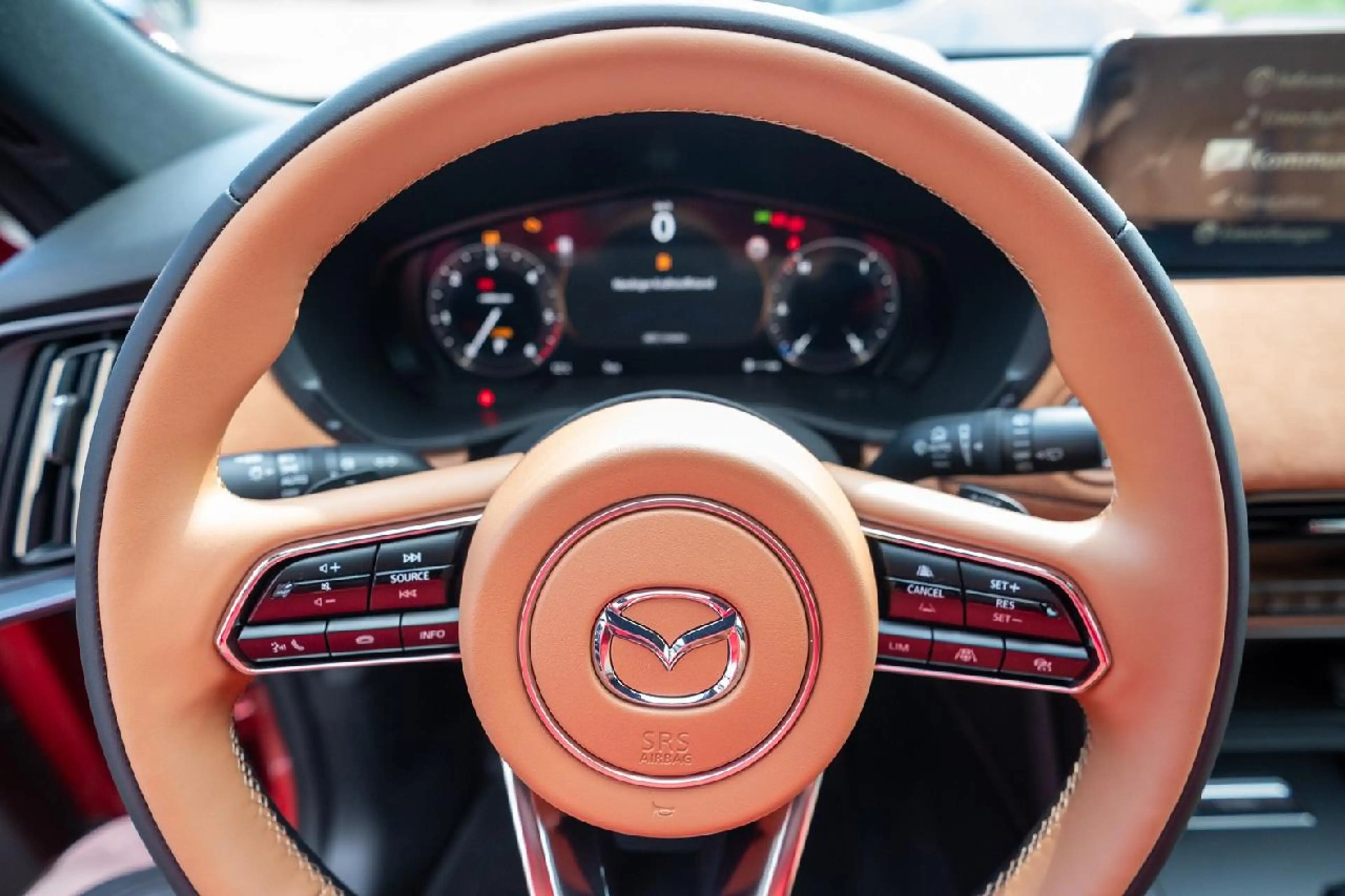 Mazda CX-60 Homura Plus PANO/BOSE/360° — photo 14