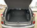 Ford Kuga ST-Line X 2.5 FHEV Hybrid Automatik ACC LED Gris - thumbnail 14