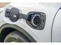 Ford Kuga Titanium PHEV - Panoramisch dak - Camera Blanco - thumbnail 12