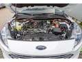 Ford Kuga Titanium PHEV - Panoramisch dak - Camera Wit - thumbnail 22