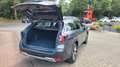 Subaru OUTBACK Platinum, Winterreifen Gris - thumbnail 7