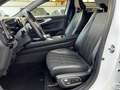 Renault Austral Austral Mild Hybrid 160 CV Auto Techno Bianco - thumbnail 12