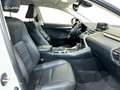 Lexus NX 200t SUV PREMIUM 2WD 2.5 Híbrido Gasolina (197CV) Tran Weiß - thumbnail 6