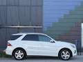 Mercedes-Benz ML 350 BlueTEC 4MATIC Aut. DPF Weiß - thumbnail 6