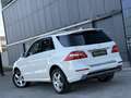 Mercedes-Benz ML 350 BlueTEC 4MATIC Aut. DPF Weiß - thumbnail 12