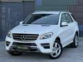 Mercedes-Benz ML 350 BlueTEC 4MATIC Aut. DPF Weiß - thumbnail 13