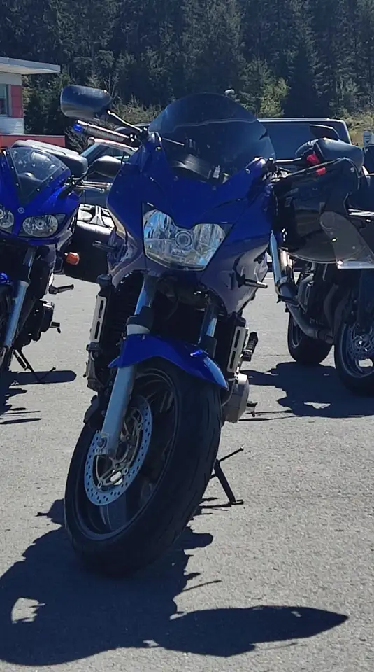 Honda CBF 600