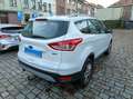 Ford Kuga Kuga 1.5 EcoBoost 2x4 Individual Wit - thumbnail 3