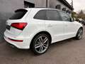 Audi SQ5 COMPETITION Weiß - thumbnail 3
