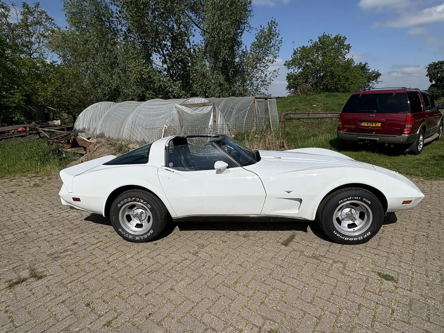 Chevrolet Corvette c3 l82 targa org NL , net 10000 onderhoud gehad Wit - 1