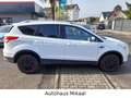 Ford Kuga Trend Weiß - thumbnail 4