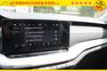 Skoda Octavia 1.5 TSI "130LET-CZ" 110 kW (150 PS), Schalt. 6-... Grün - thumbnail 22