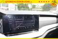 Skoda Octavia 1.5 TSI "130LET-CZ" 110 kW (150 PS), Schalt. 6-... Grün - thumbnail 26
