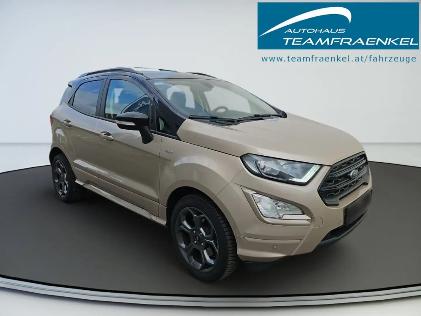 Ford EcoSport 1,0 EcoBoost ST-Line Braun - 2