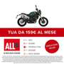 Benelli Leoncino 800 TRAIL Verde - thumbnail 2