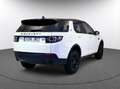 Land Rover Discovery Sport 2.0eD4 SE FWD 150 Weiß - thumbnail 5