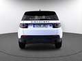 Land Rover Discovery Sport 2.0eD4 SE FWD 150 Weiß - thumbnail 4