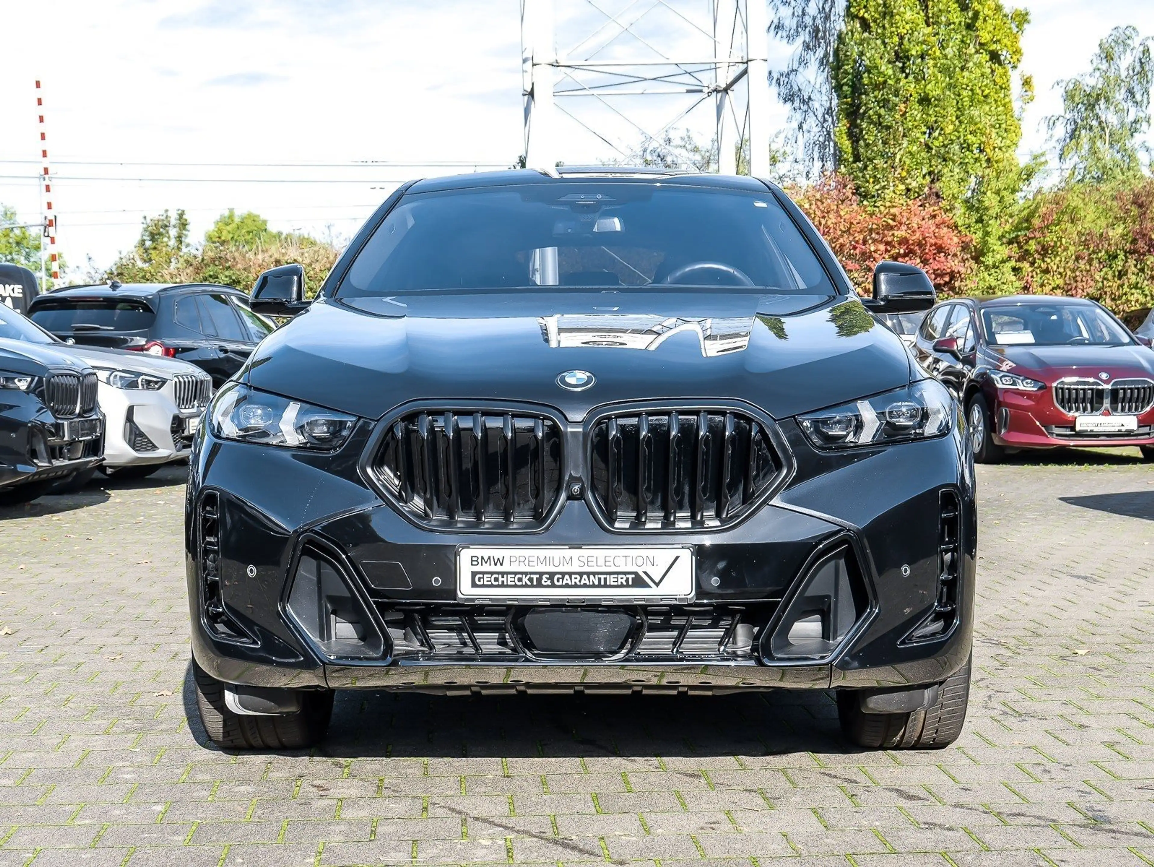 BMW X6 xDrive30d M Sport PANO HUD ACC RFK NAVI LED DAB — photo 8