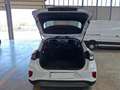 Ford Puma 1.0 ecoboost h Titanium s&s 125cv Bianco - thumbnail 6