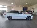 BMW 530 d xDrive 48V 249cv Touring Auto Pelle Navi LED Wit - thumbnail 39