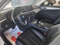 BMW 530 d xDrive 48V 249cv Touring Auto Pelle Navi LED Wit - thumbnail 37