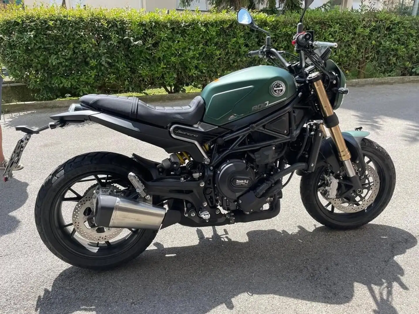 Benelli Leoncino 800 Verde - 1