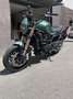 Benelli Leoncino 800 Verde - thumbnail 5