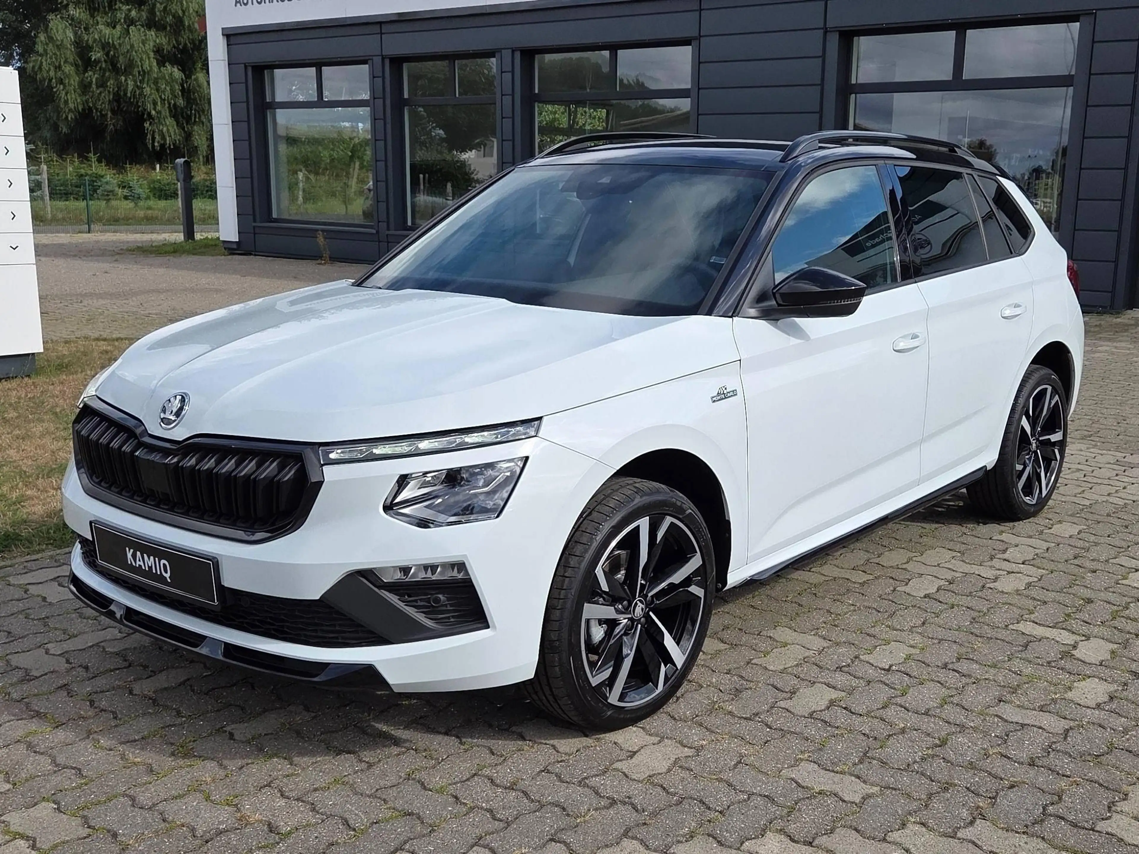 Skoda Kamiq Kamiq 1.0 TSI DSG Monte Carlo