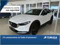 Mazda CX-30 2.0 e-Skyactiv-G Homura FWD Aut. 110kW Weiß - thumbnail 1
